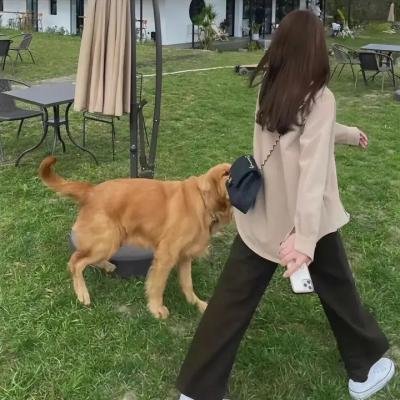 身后那些事儿