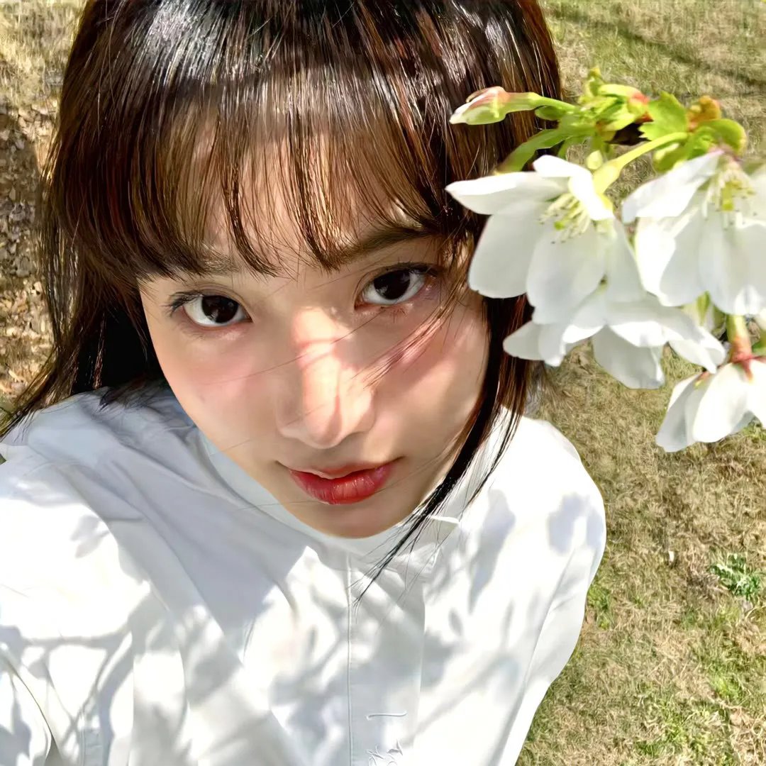 交通队的故事